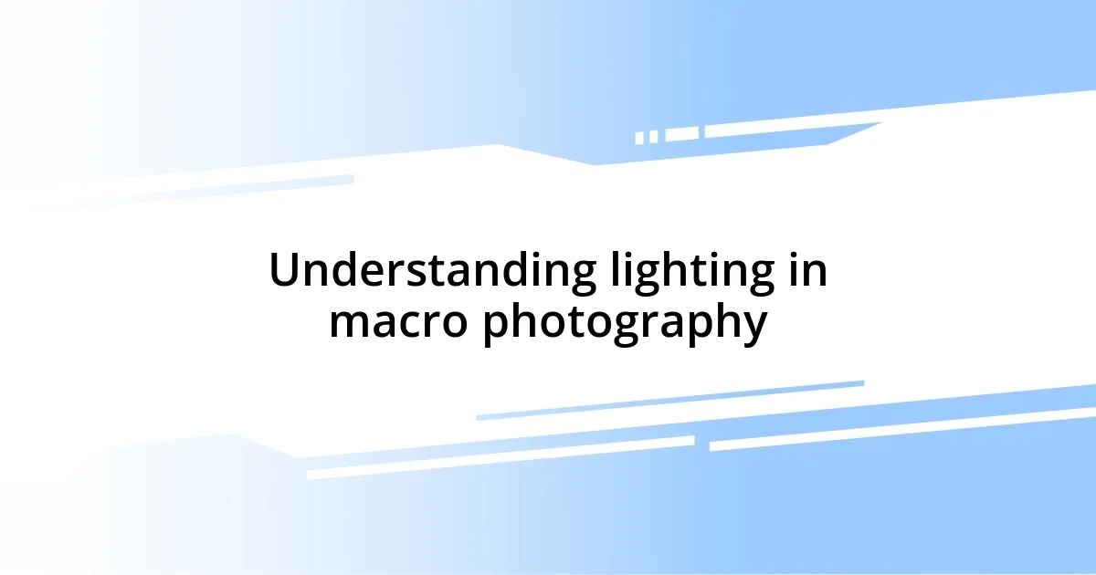 Understanding lighting in macro photography